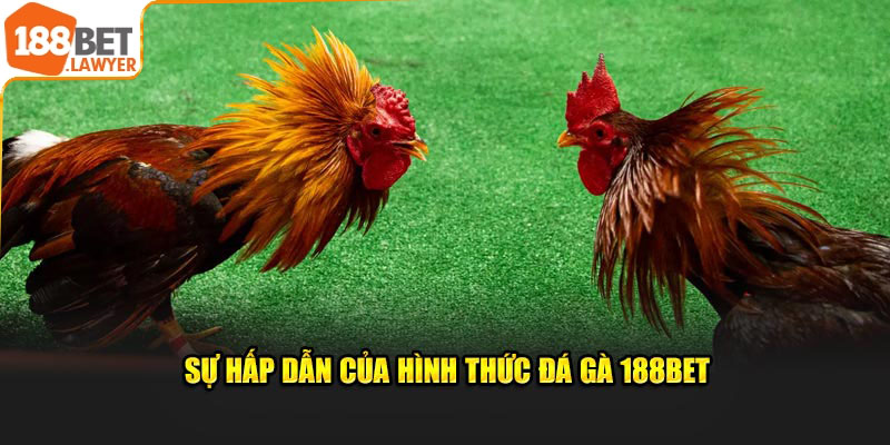 Sự hấp dẫn của đá gà 188BET